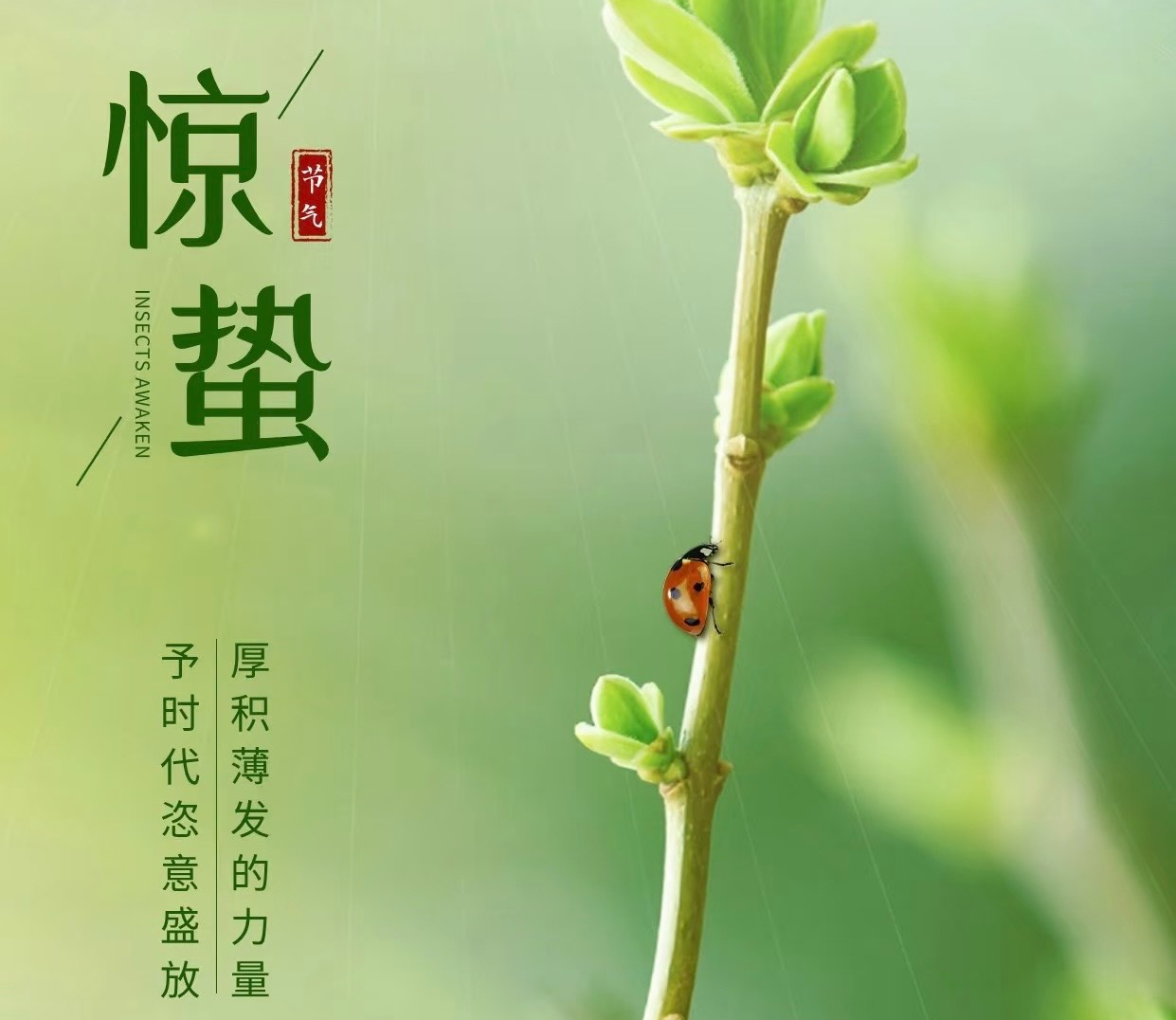 1741145898293596.png 73a2b1f0a286f5f80a8e2bd9d40d7ec.png